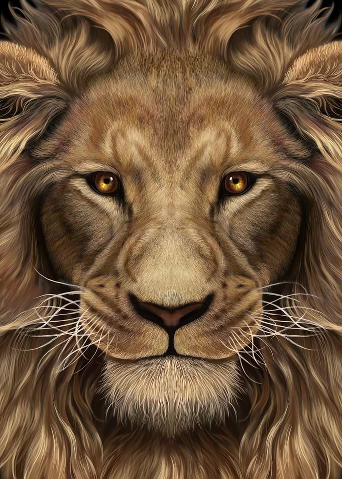 Alpha Lion