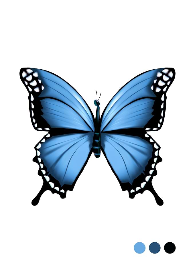 Blue Butterfly