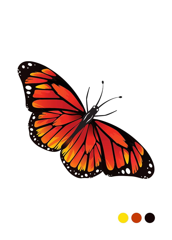 Orange Butterfly