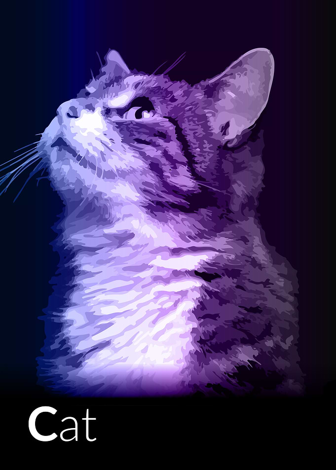 cat pray