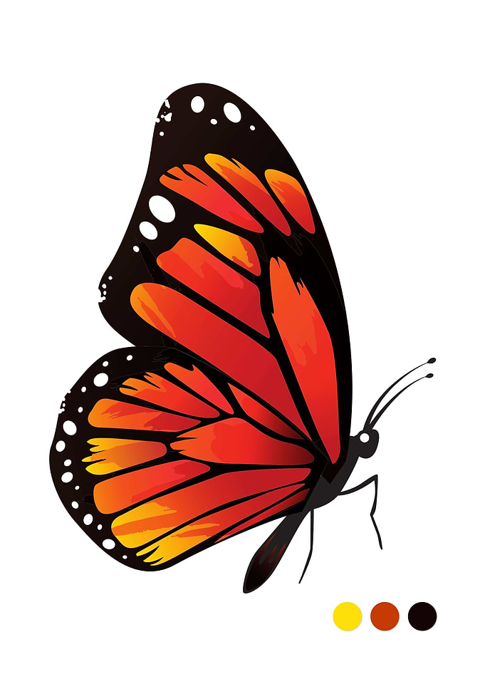 Orange Butterfly