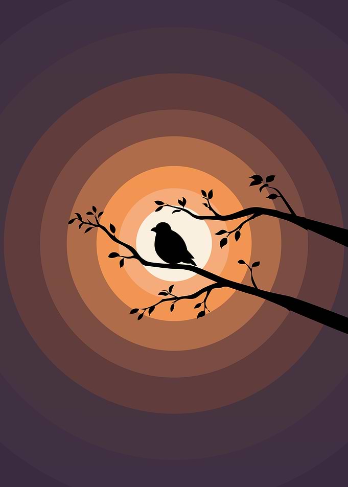 Negative Space of Bird