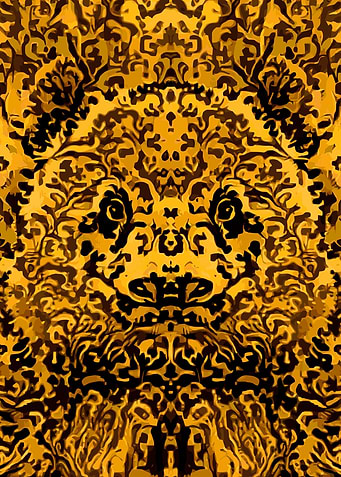 Panda Bear Golden Patterns