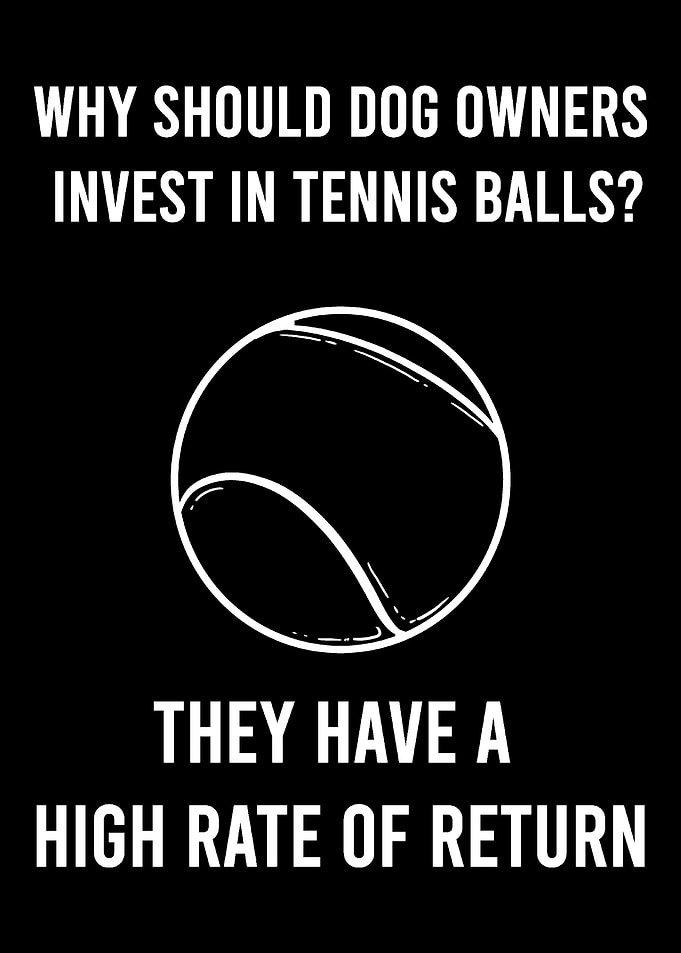 Dog Tennis Ball Tennis Pla