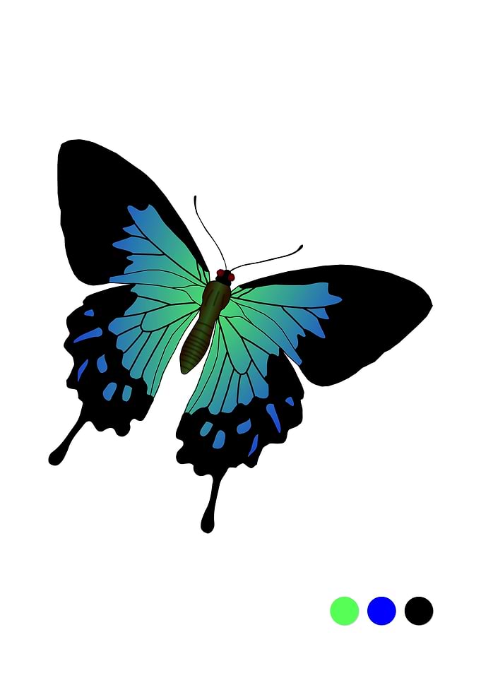 Green Butterfly