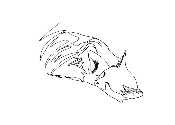 Cat Lover Line Art