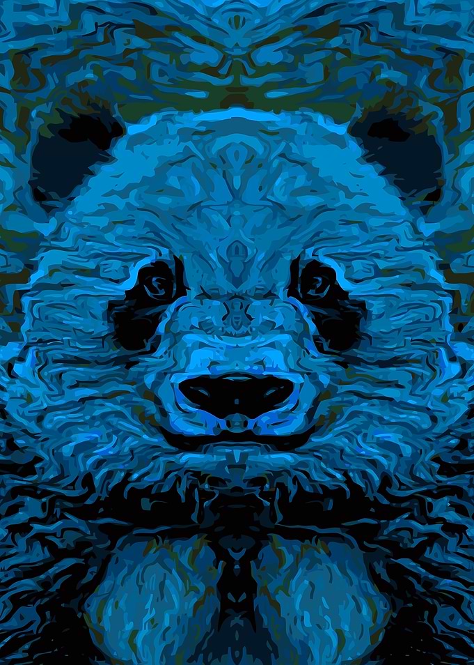 Panda Bear Blue Art