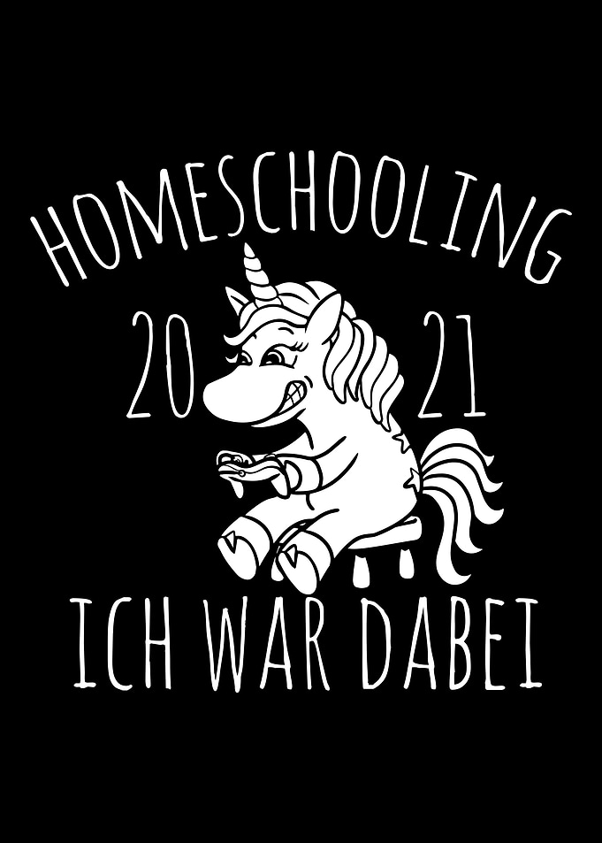 Home Schooling Gaming Game