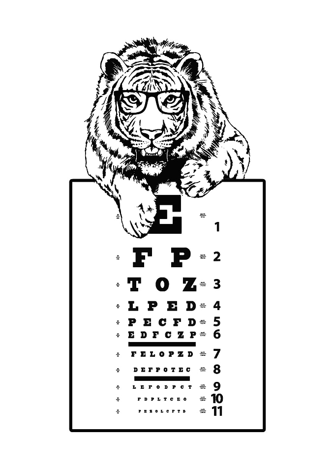 Funny and Cute Tiger