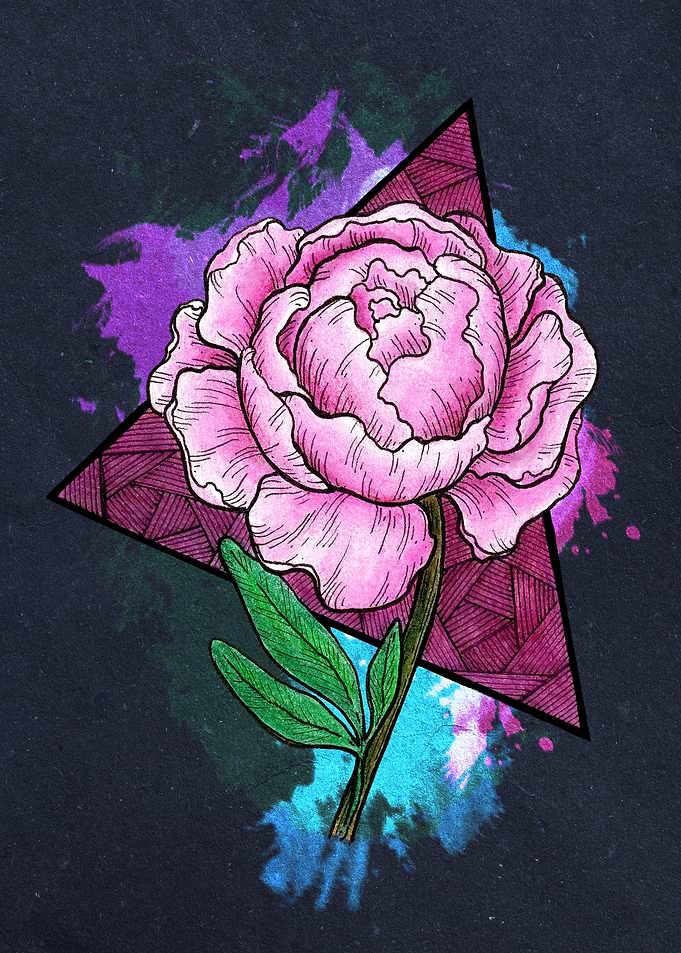 Pink Peony Dark