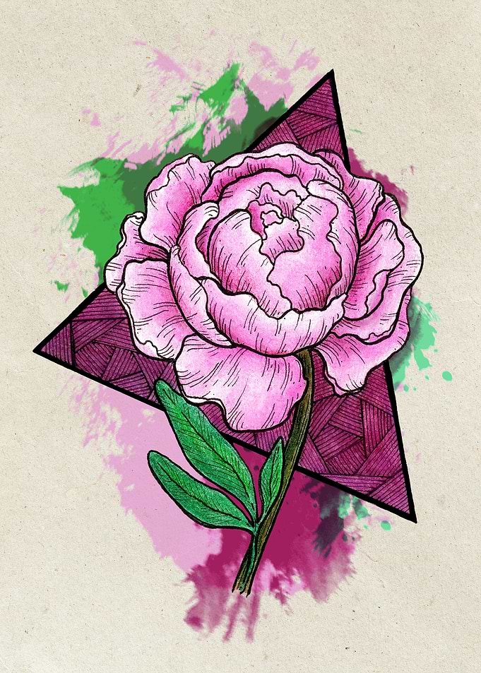 Pink Peony Light