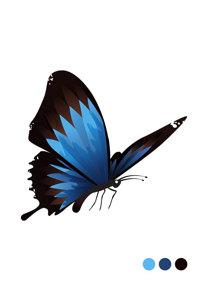 Blue Butterfly
