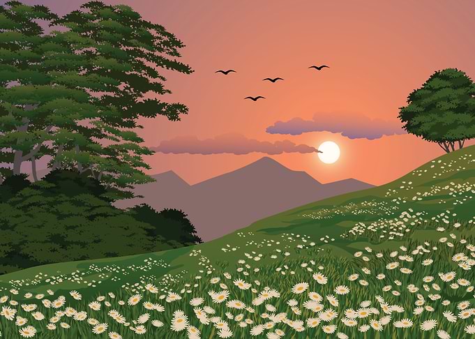 Nature Landscape