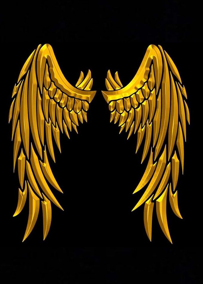 Wings