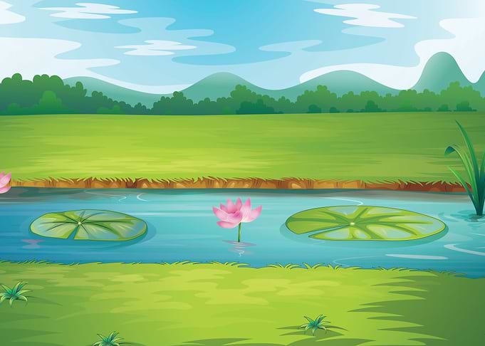 Nature Landscape