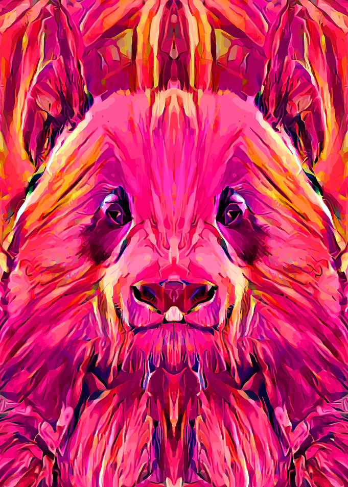 Panda Bear Colorful