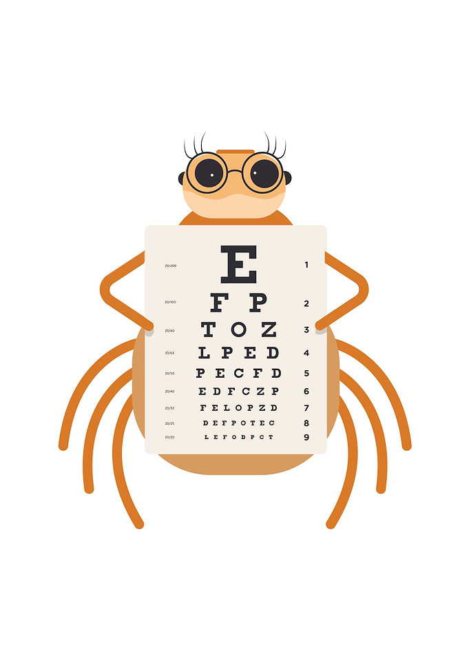 Funny and Cute Spider