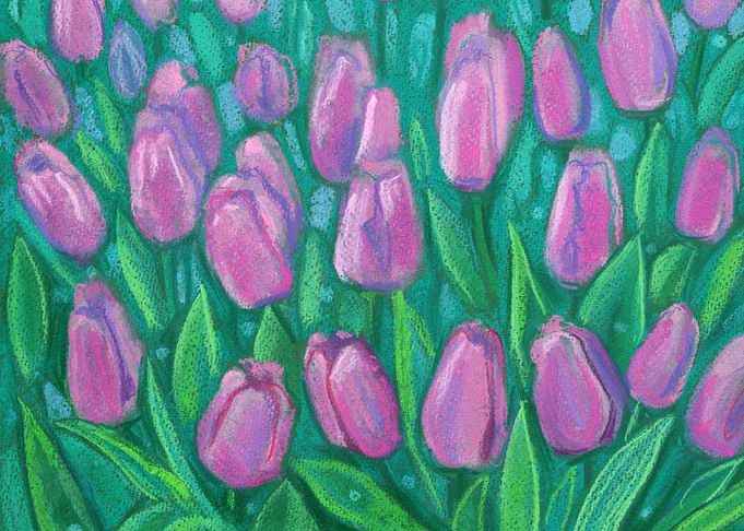 Tulips Field Spring Flower