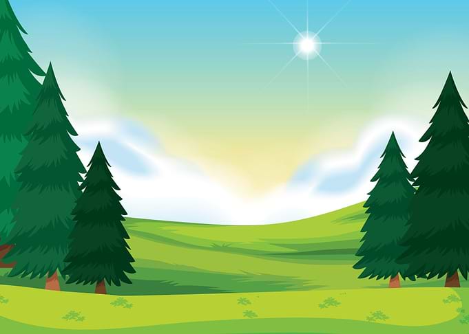 Nature Landscape