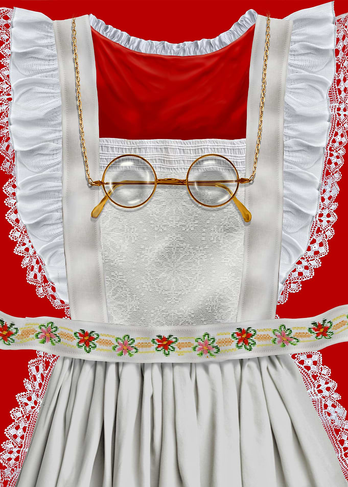Mrs Santa Costume