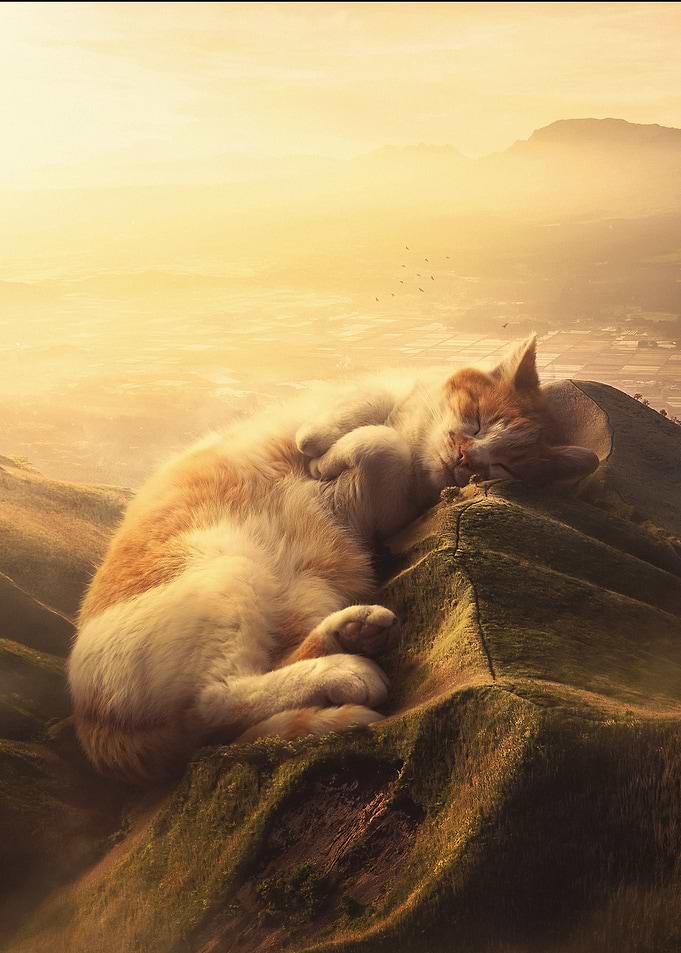 A Giant Nap