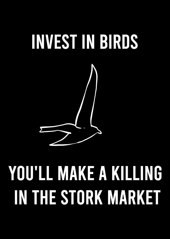 Stork Market Bird and Natu