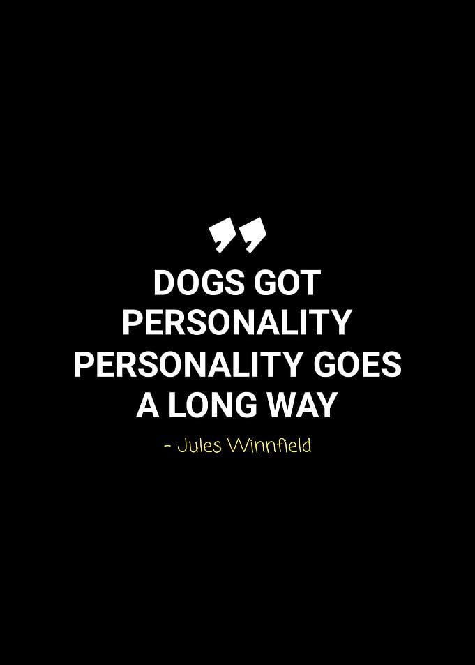 jules winnfield quotes
