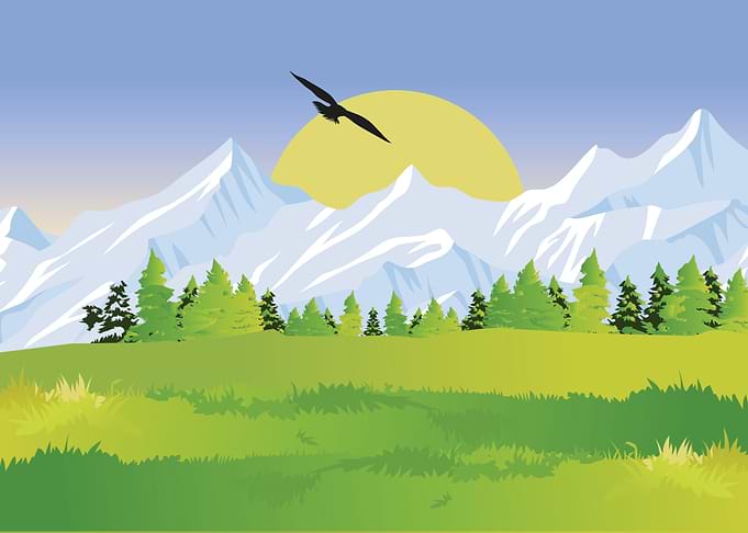 Nature Landscape