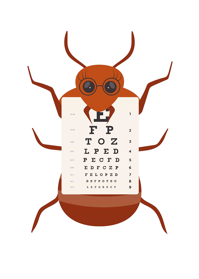 Funny and Cute Ant