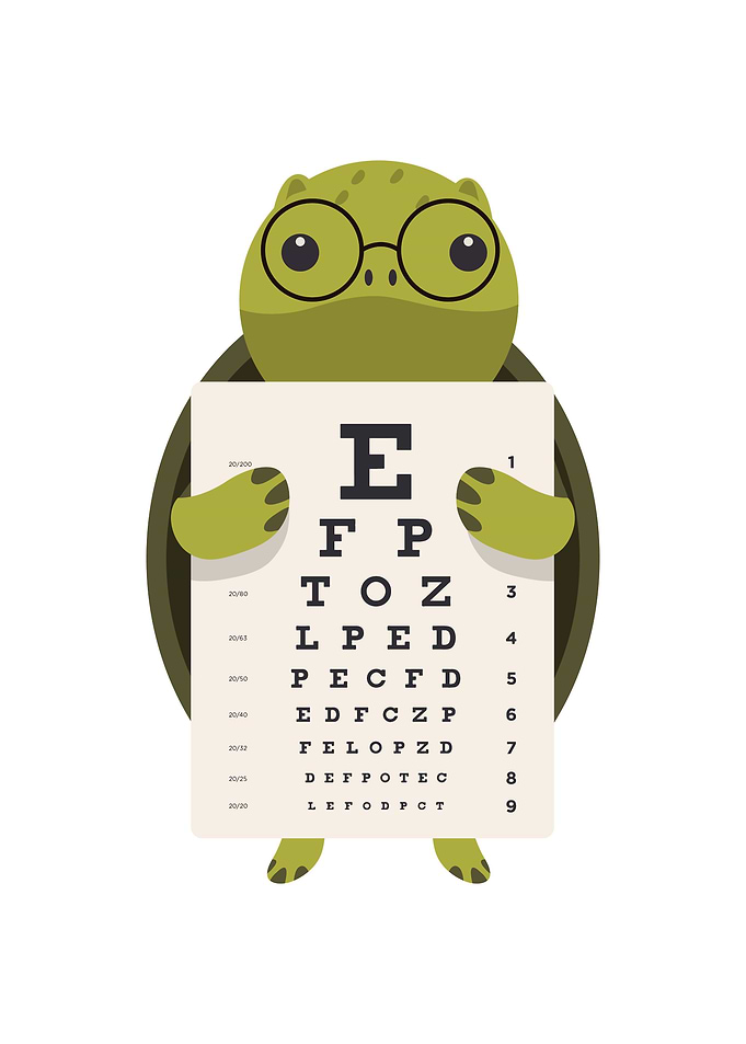 Funny and Cute Turtle