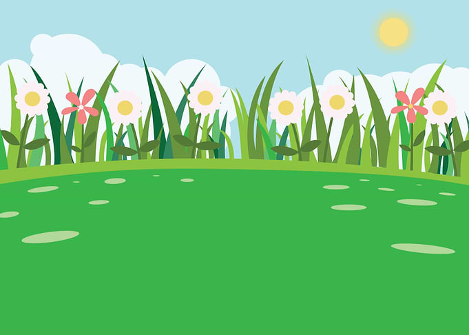 Nature Landscape