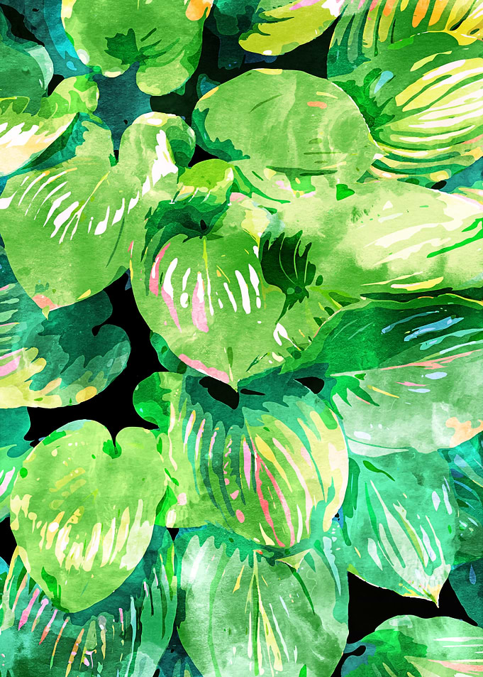 Colors Of The Jungle