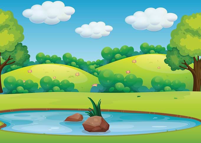 Nature Landscape