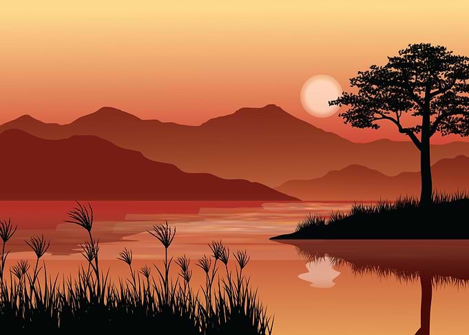 Nature Landscape