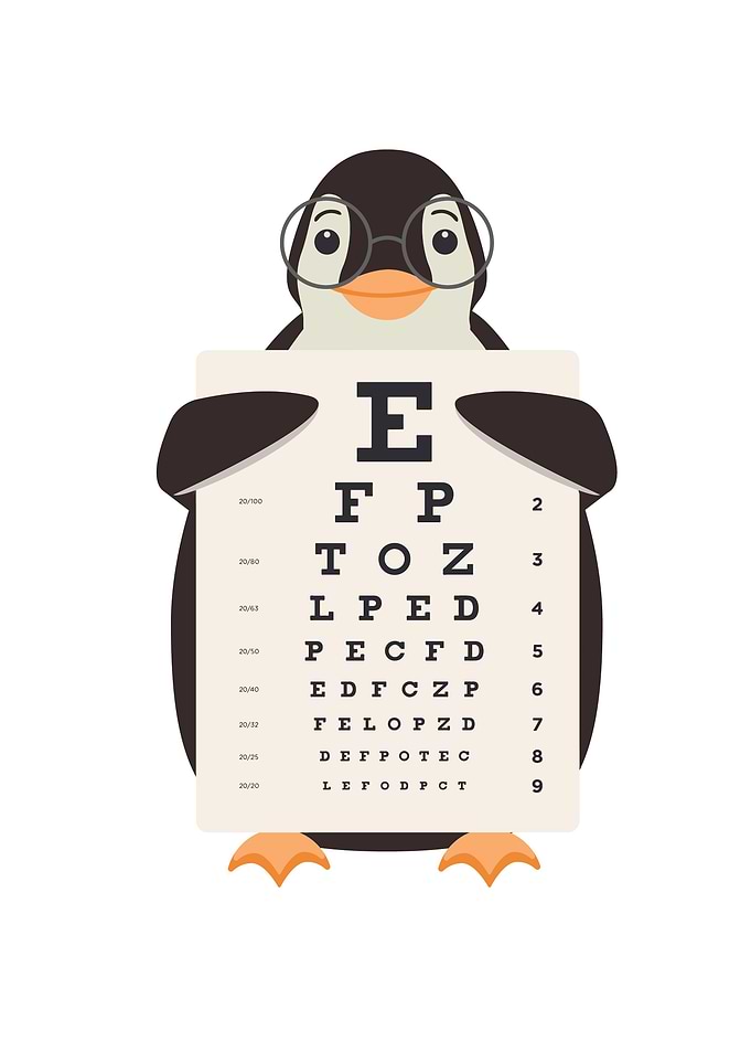 Funny and Cute Penguin
