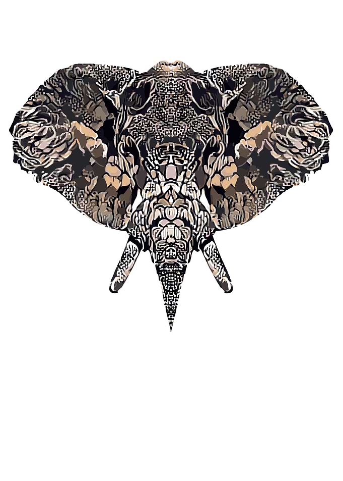 Elephant Art Floral Black