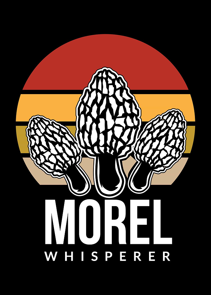 Morel Whisperer