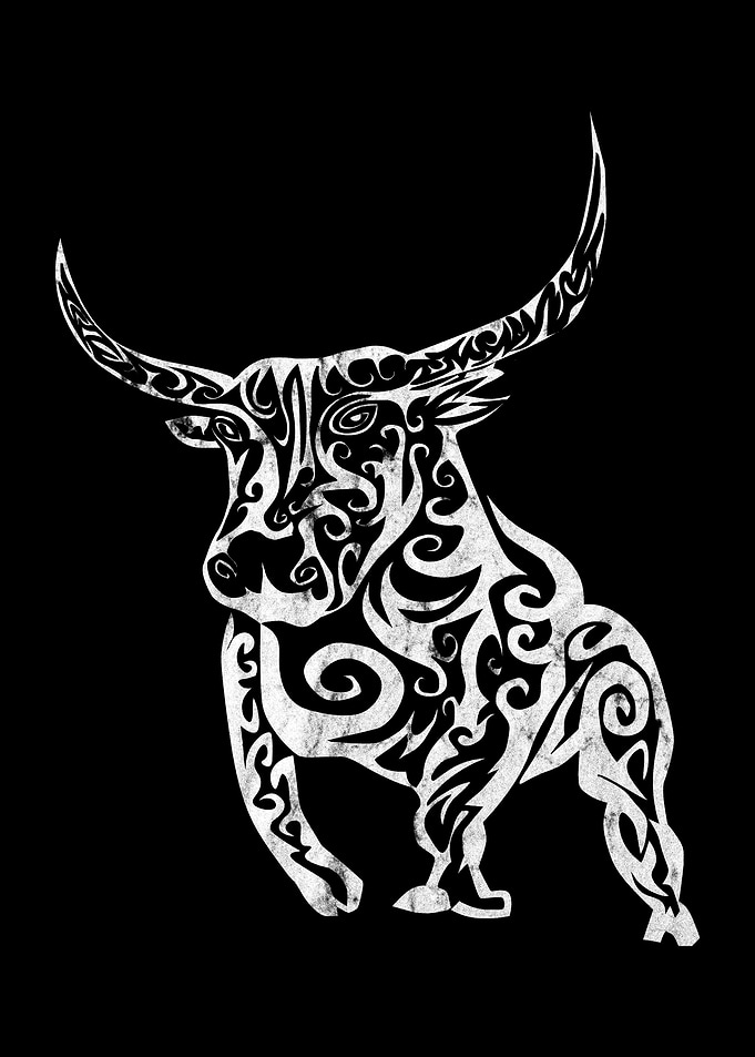 Stock Market Bull