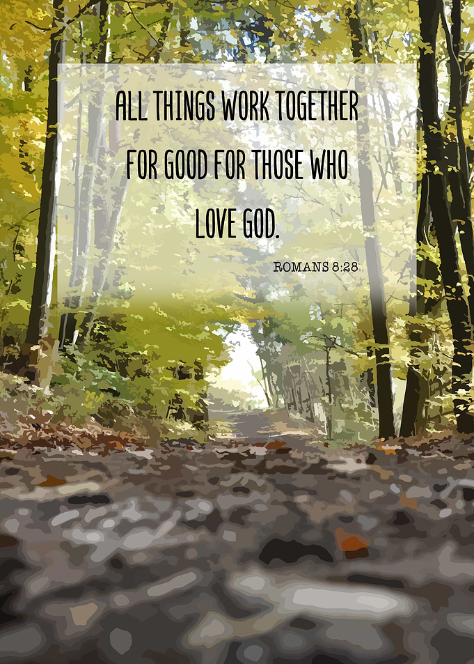 Bible Verse Wall Art Decor