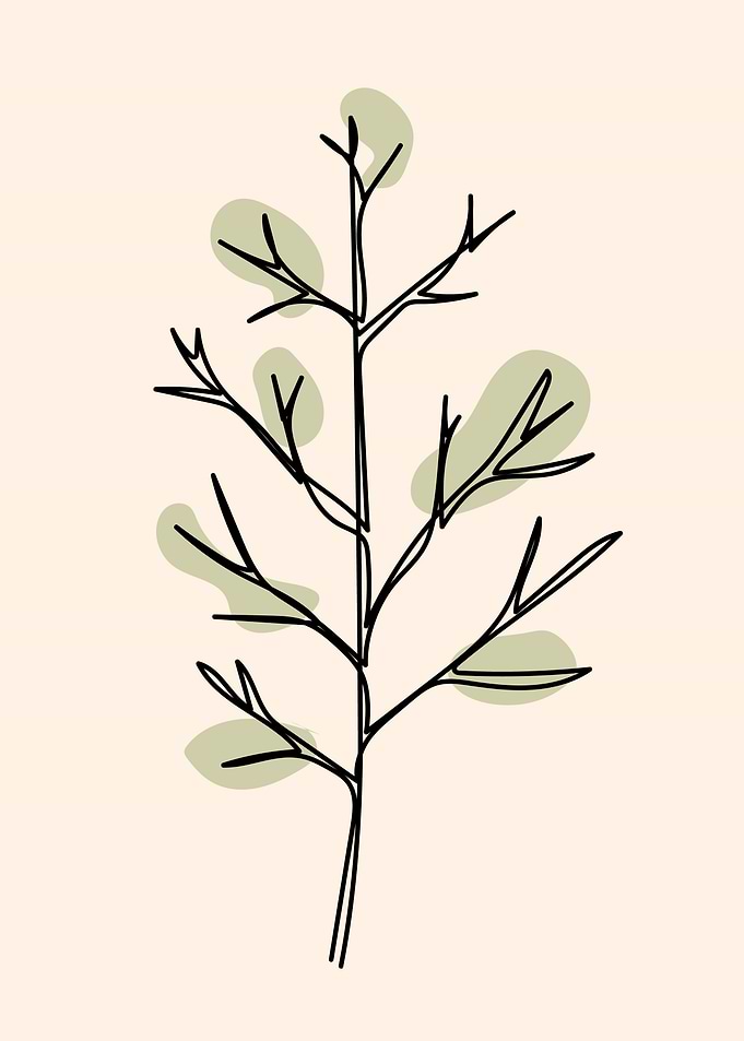Plant with Leaves ArtWork2