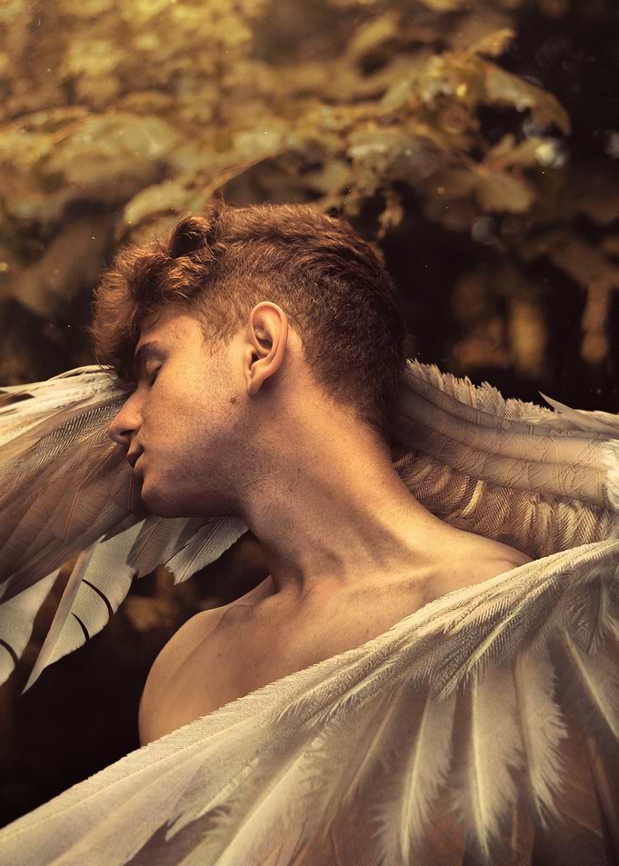 Icarus
