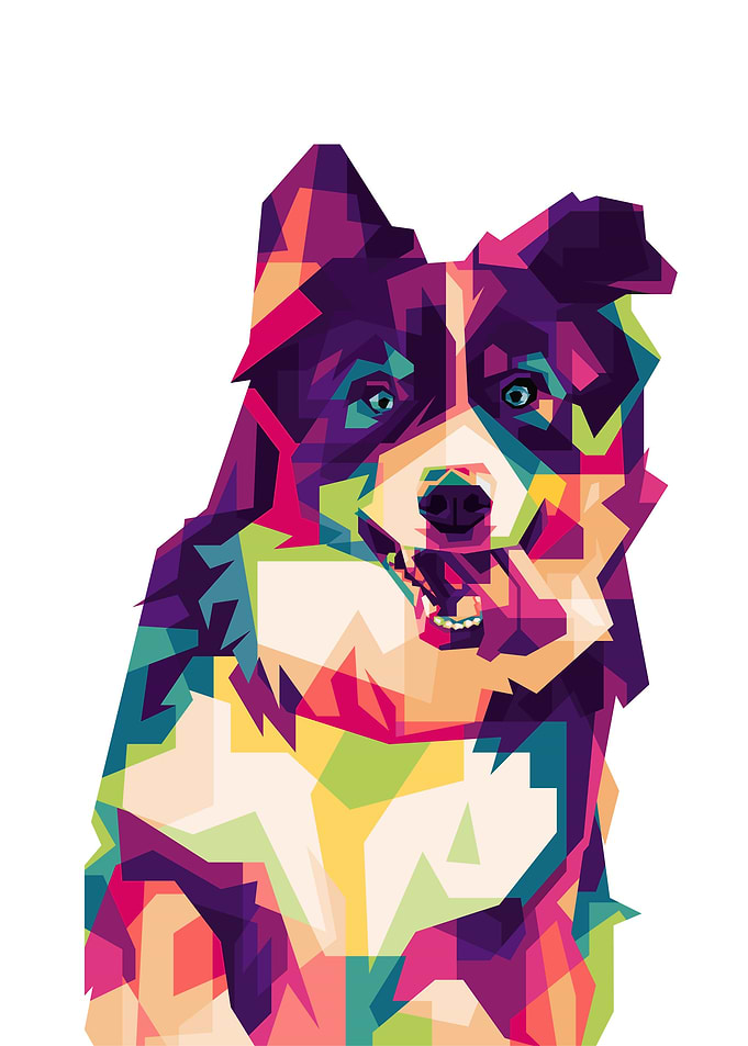 Bernese Mountain Dog