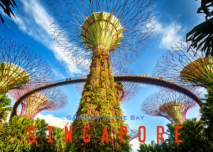 Singapore Gardens by the B