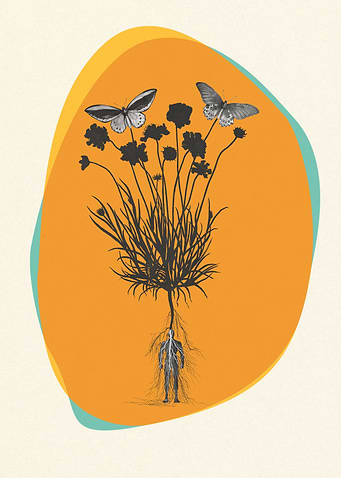 Feeling Butterflies
