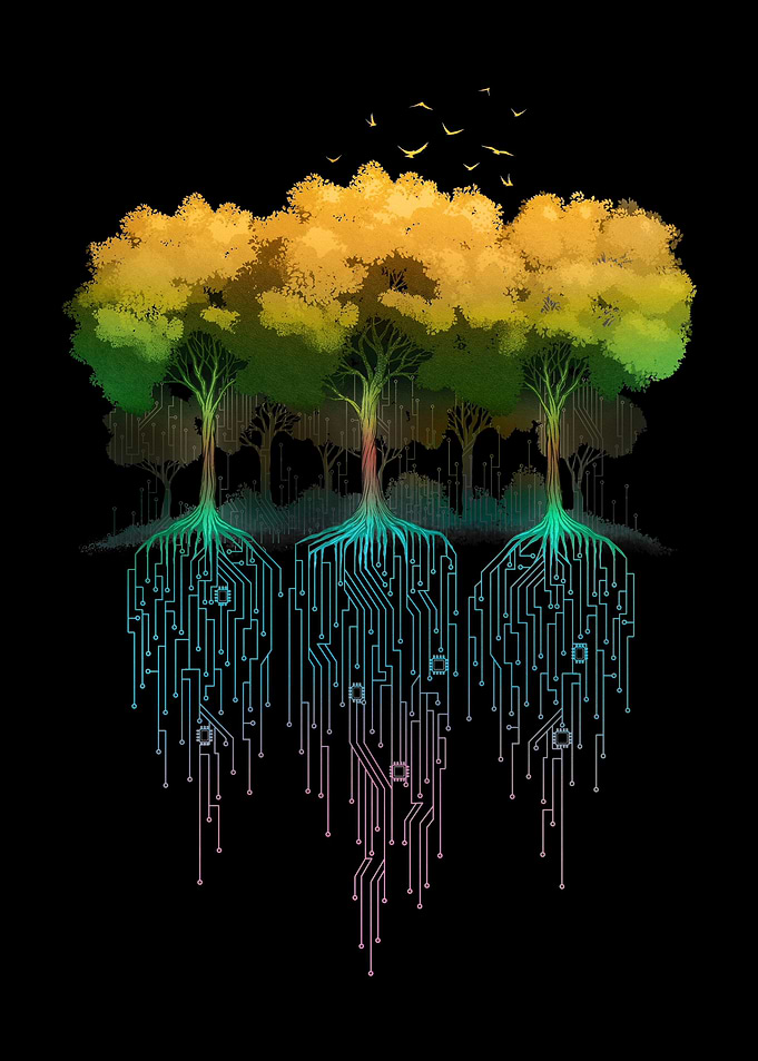 Connection Forest