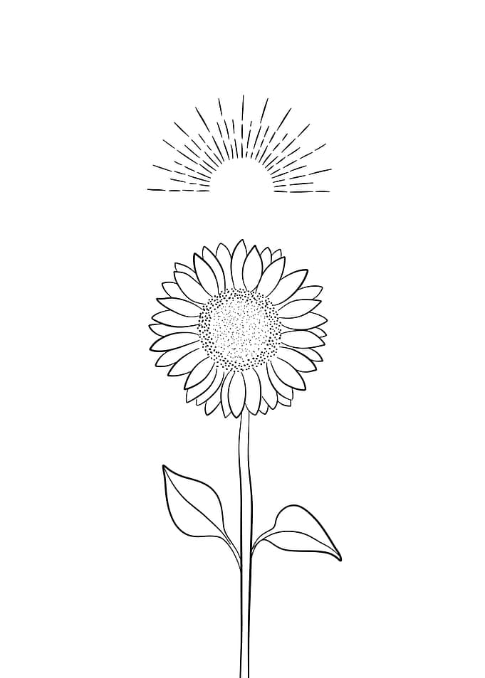 Sunflower with Sun
