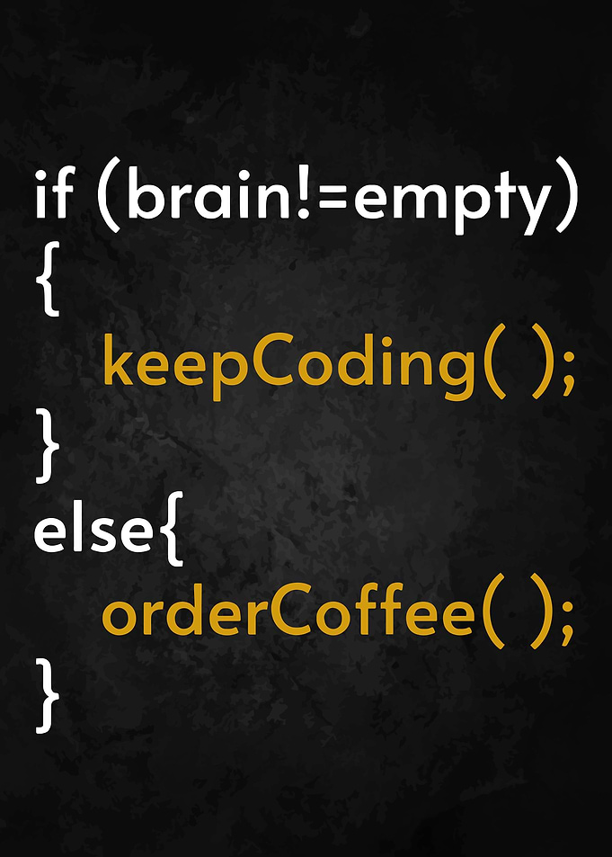 Programmer Coder