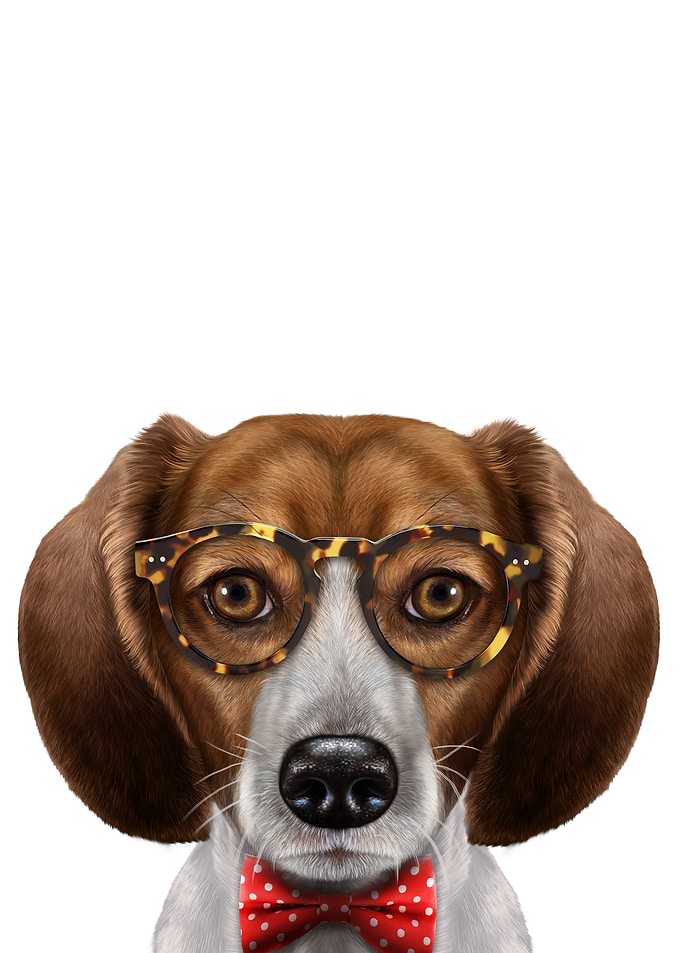 Dandy Beagle Dog