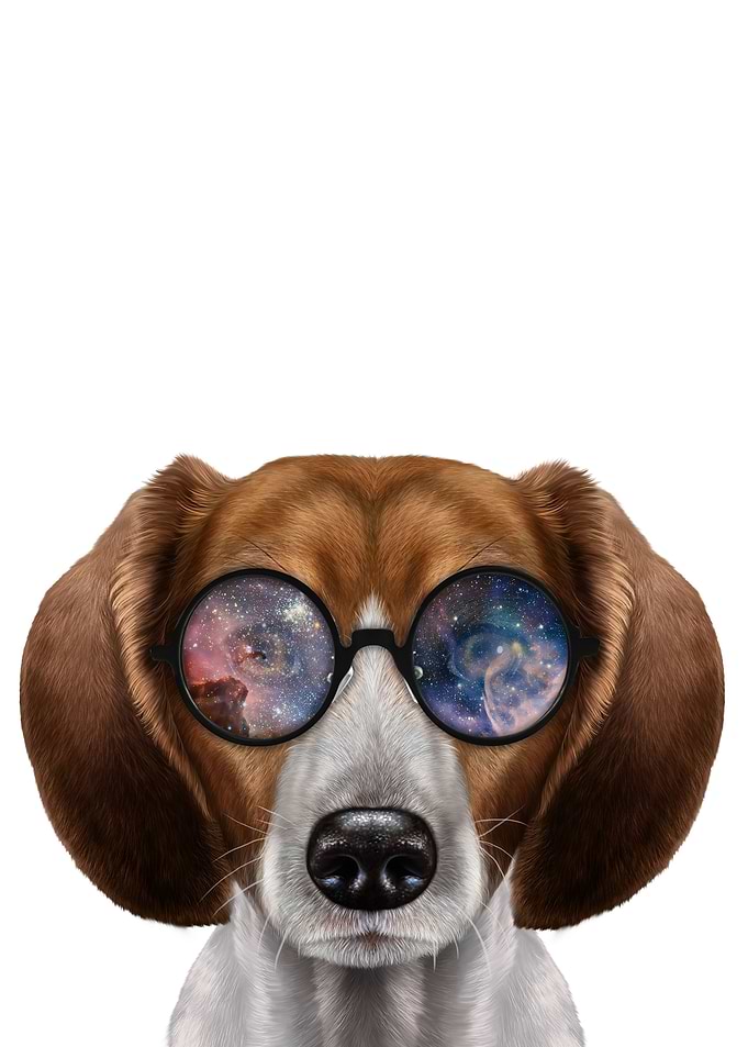 Beagle in Space Sunglass