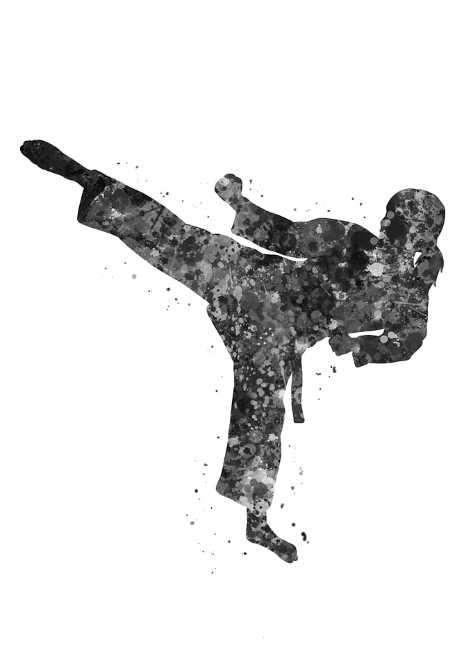 Taekwondo girl kick